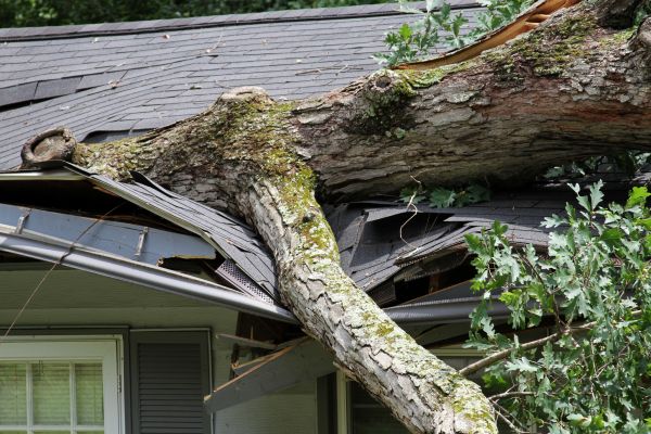 Storm Remediation in Crown Point