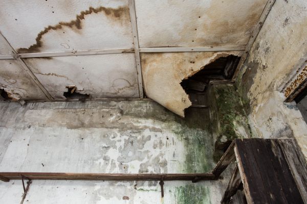 Water Damage Service in Crown Point