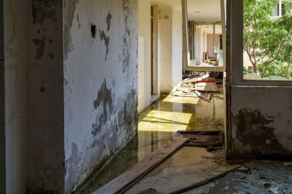 Water Removal Service in Crown Point