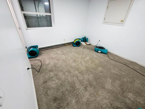 Flood Restoration Service in Crown Point